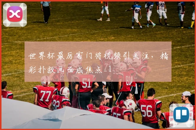 世界杯最厉害门将视频引关注，精彩扑救画面成焦点_1