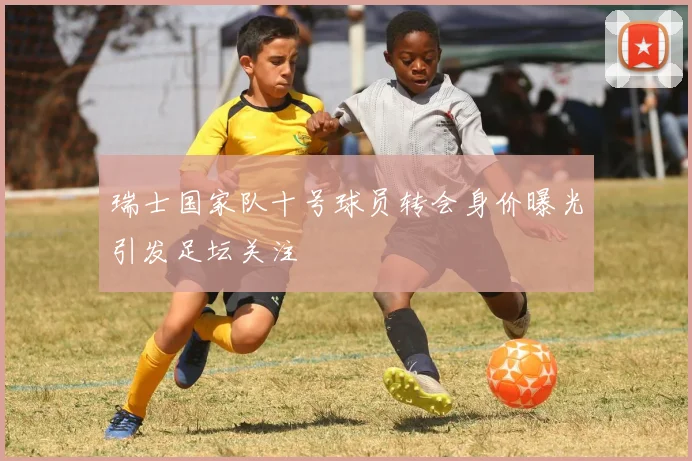 瑞士国家队十号球员转会身价曝光引发足坛关注