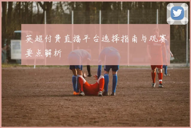 英超付费直播平台选择指南与观赛要点解析