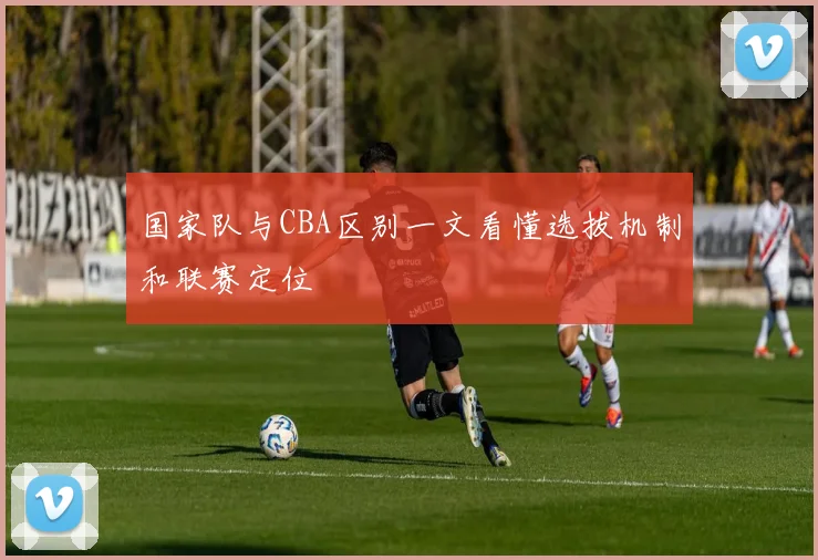 国家队与CBA区别一文看懂选拔机制和联赛定位