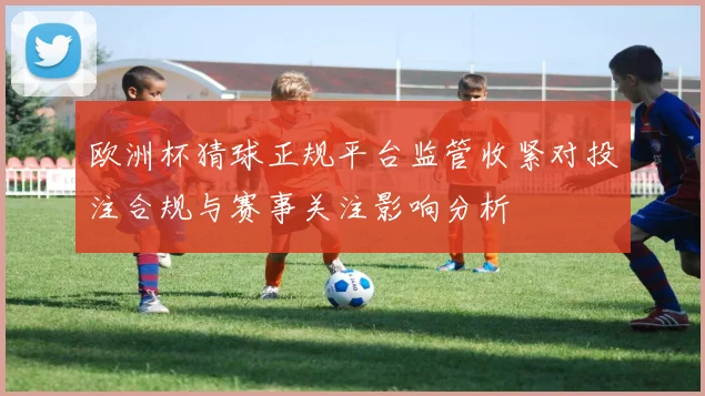 欧洲杯猜球正规平台监管收紧对投注合规与赛事关注影响分析